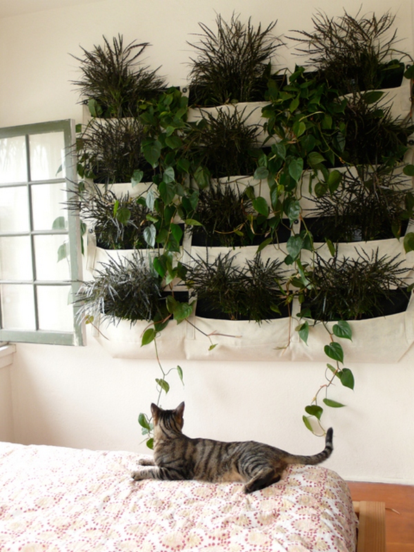 Ogród wertykalny w mieszkaniu z roślinami w białych kieszeniach, kot leży na łóżku i patrzy na zieleń, widoczne okno z drewnianą ramą.