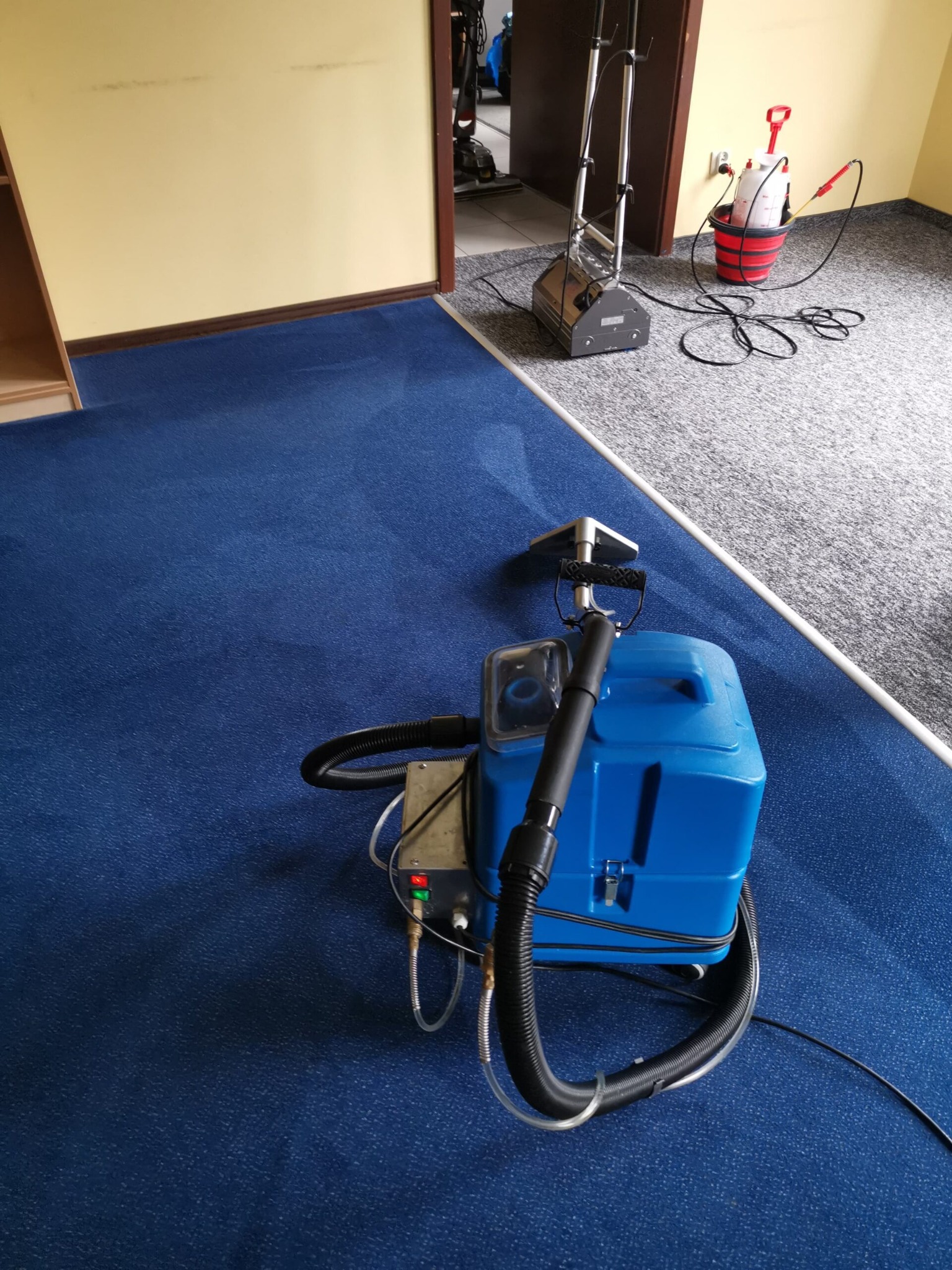 Profesjonalny sprzęt do czyszczenia na tle świeżo wypranego, intensywnie niebieskiego dywanu w pomieszczeniu z szarą podłogą w tle.