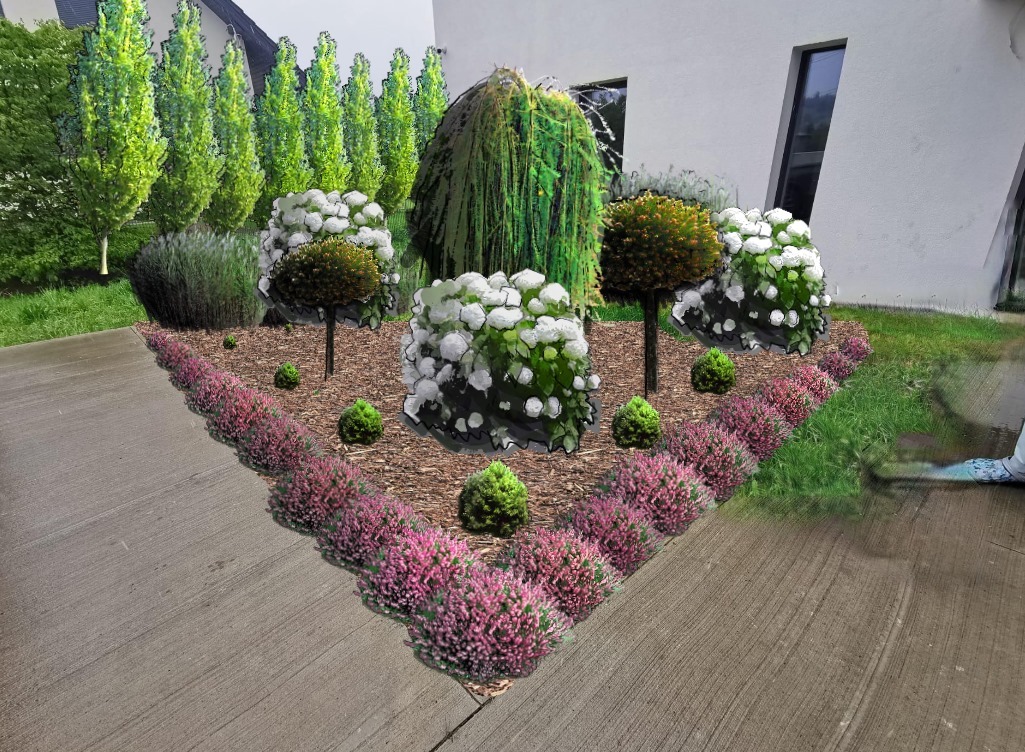 Kreatywna kompozycja ogrodu z drzewkami formowanymi w kule, wrzosami i korą. Nowoczesny design z geometrycznym układem rabat.