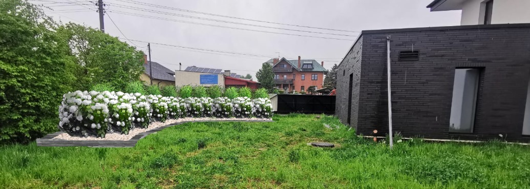 Projekt ogrodu z rzędem kwitnących hortensji na tle domu i zielonego trawnika. Wizualizacja koncepcji zagospodarowania przestrzeni.