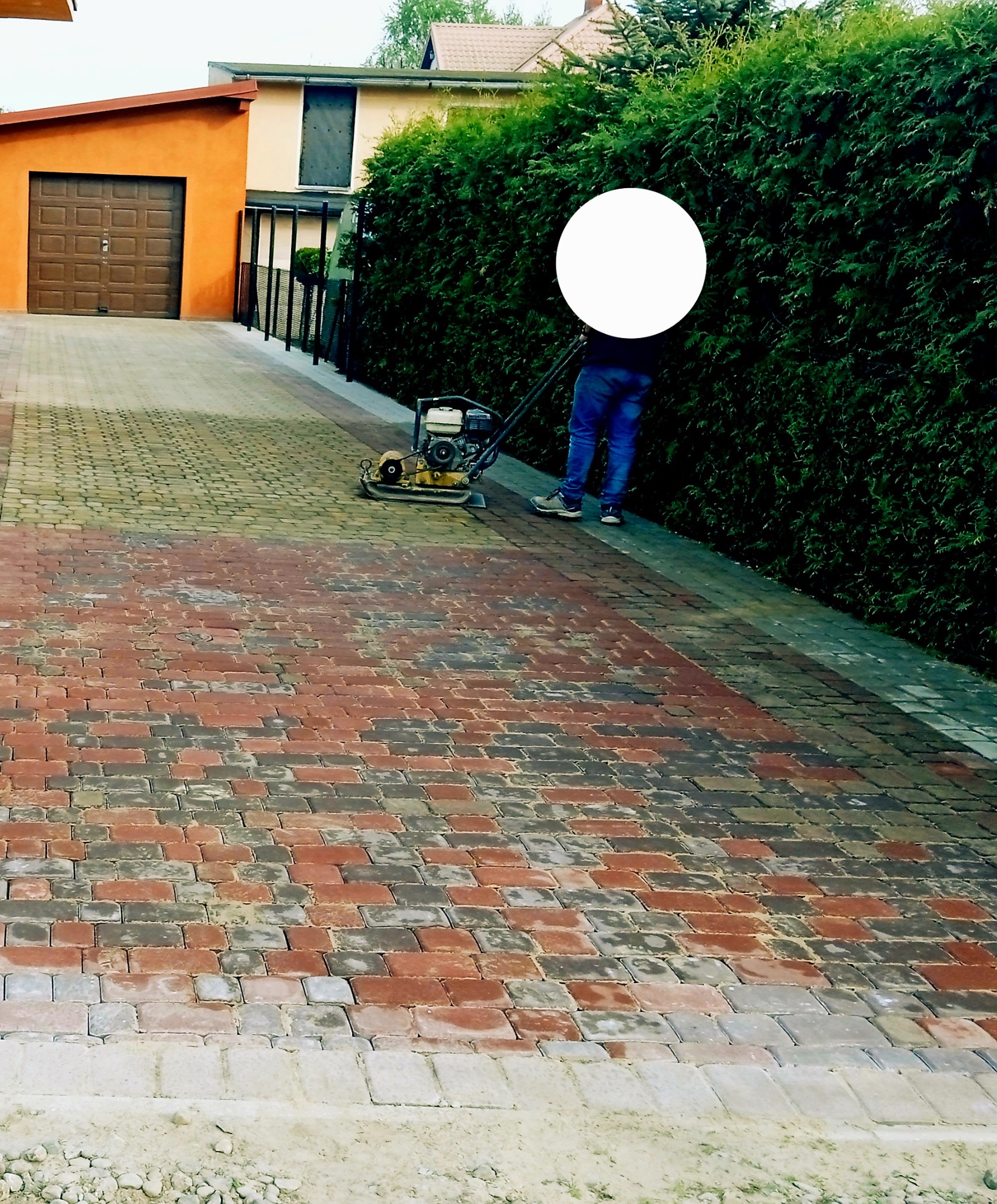 Prace brukarskie w Ciechocinku: Zagęszczarka wibrująca ubija świeżo ułożoną kostkę brukową w kolorach czerwieni i szarości, widoczny fragment żywopłotu i garaż.