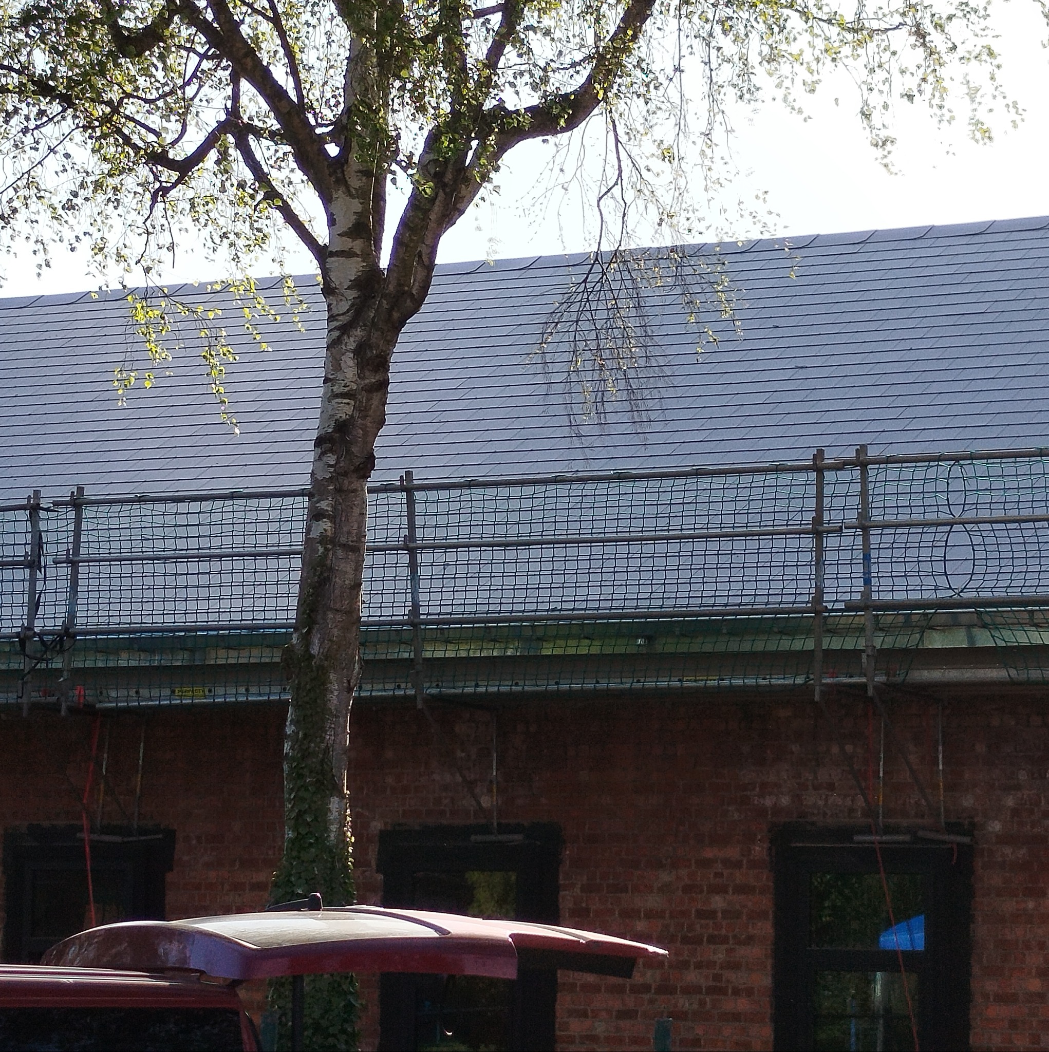 Budynek z cegły z szarym dachem i rusztowaniem, częściowo zasłonięty przez brzozę. Widoczny fragment czerwonego samochodu na pierwszym planie.