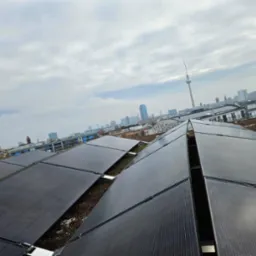 Panele słoneczne na dachu budynku z widokiem na panoramę miasta, w tle wieża telewizyjna w Berlinie.