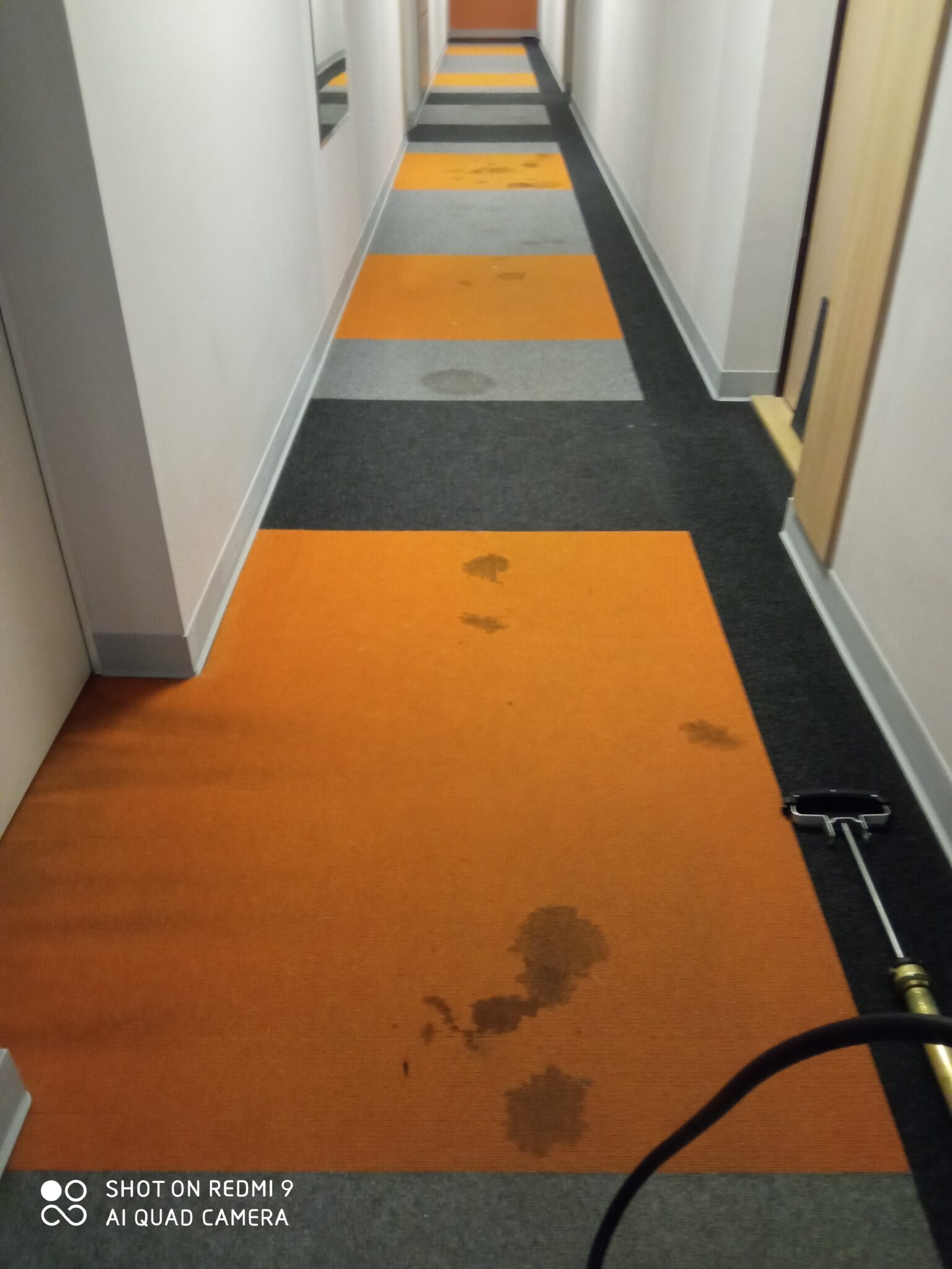 Długi korytarz z dywanem w pasy (pomarańczowy, szary, czarny) z widocznymi plamami i śladami czyszczenia, oraz częściowo widoczny sprzęt do prania dywanów.