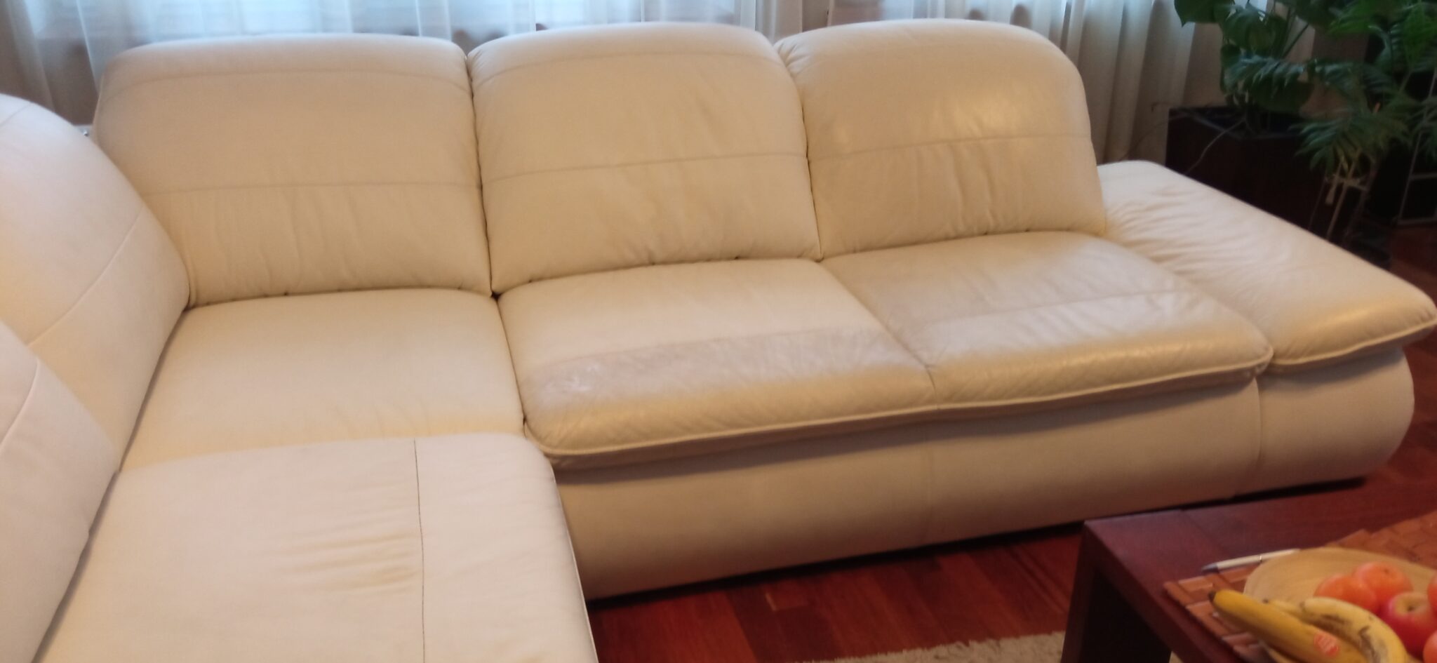 Jasna, skórzana kanapa narożna z widocznymi plamami na siedzisku, stojąca w salonie z roślinami doniczkowymi w tle.