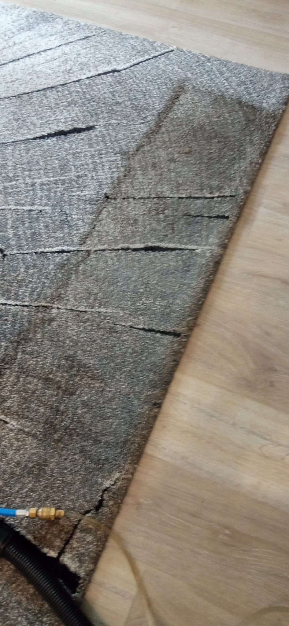 Fragment szarego dywanu z widocznym w rogu wężykiem odkurzacza piorącego podczas czyszczenia w Gdańsku.
