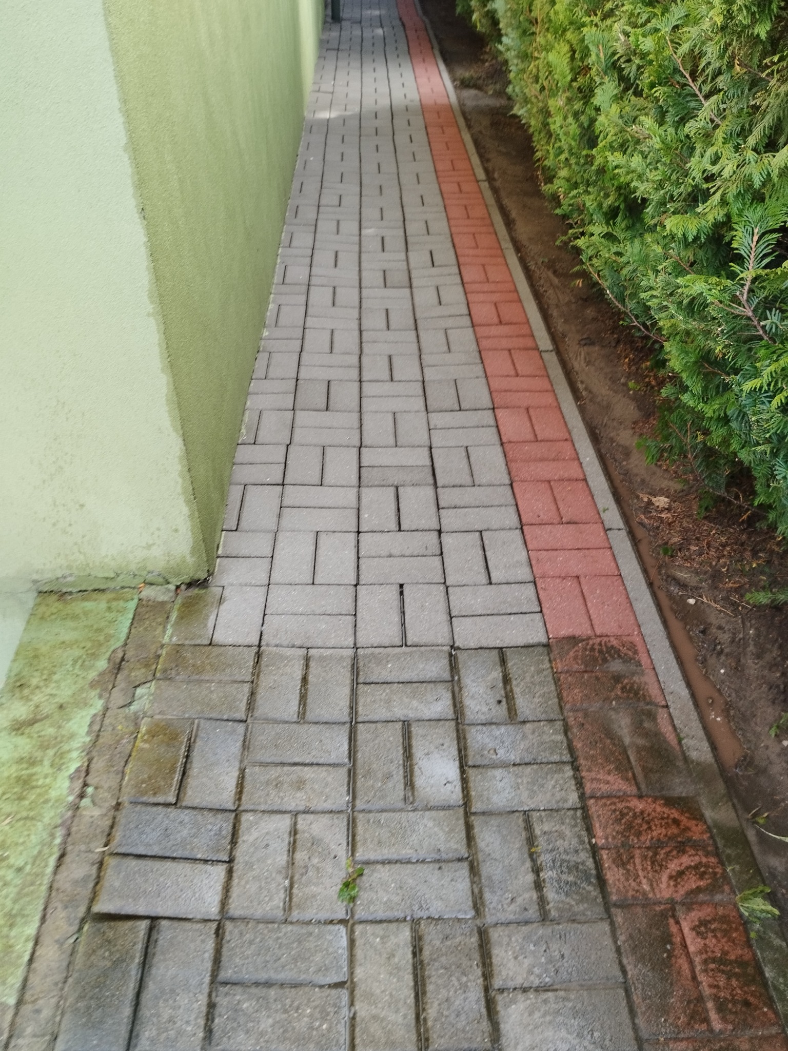 Długa, wąska ścieżka z szarej kostki brukowej z czerwonym pasem po prawej stronie, przylegająca do zadbanego żywopłotu z tui i zielonej ściany budynku, widok z góry.