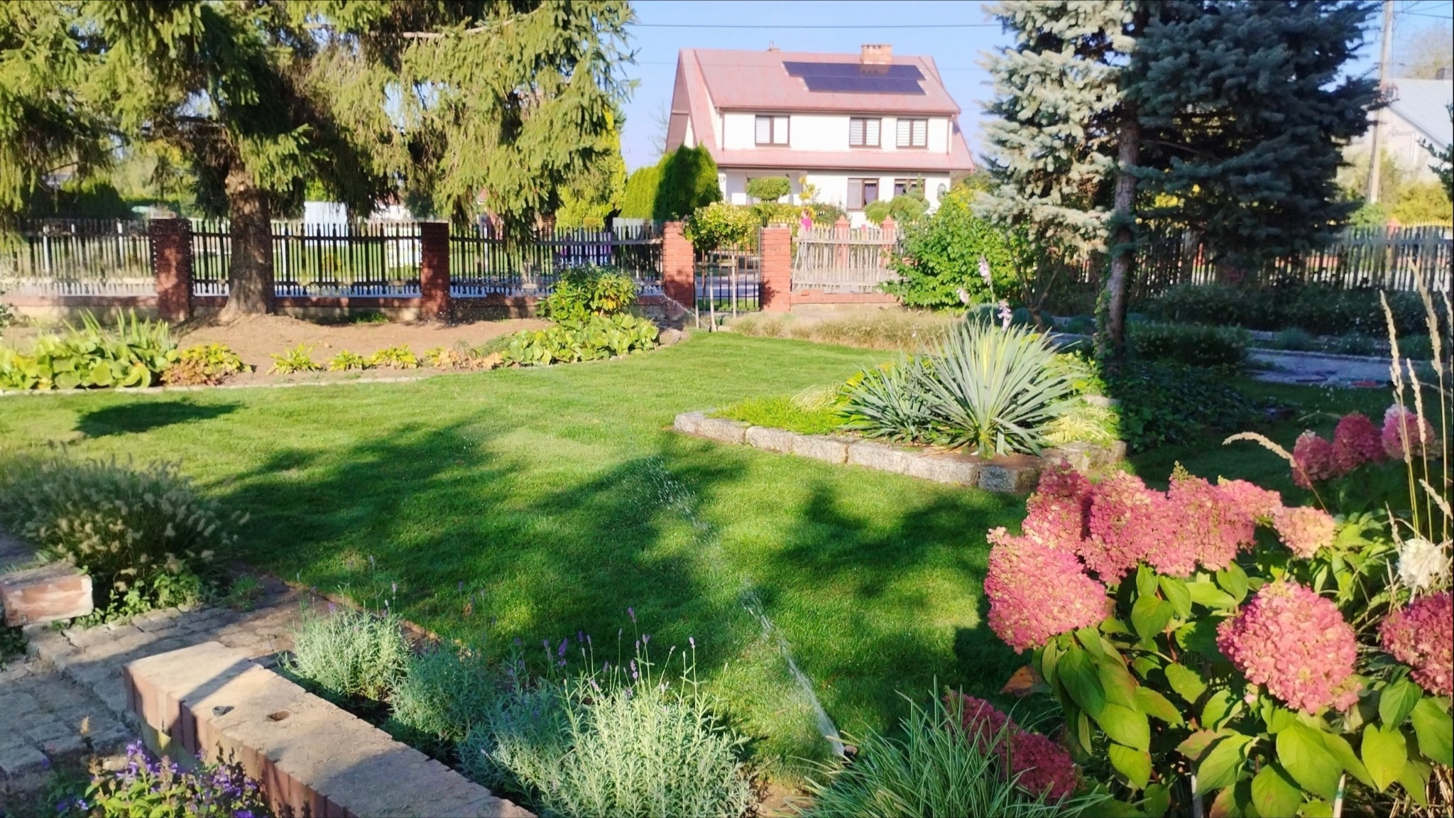 Zadbany ogród z równo przystrzyżonym trawnikiem, ozdobnymi rabatami kwiatowymi, systemem nawadniania w trakcie pracy i widokiem na dom z panelami słonecznymi w tle.