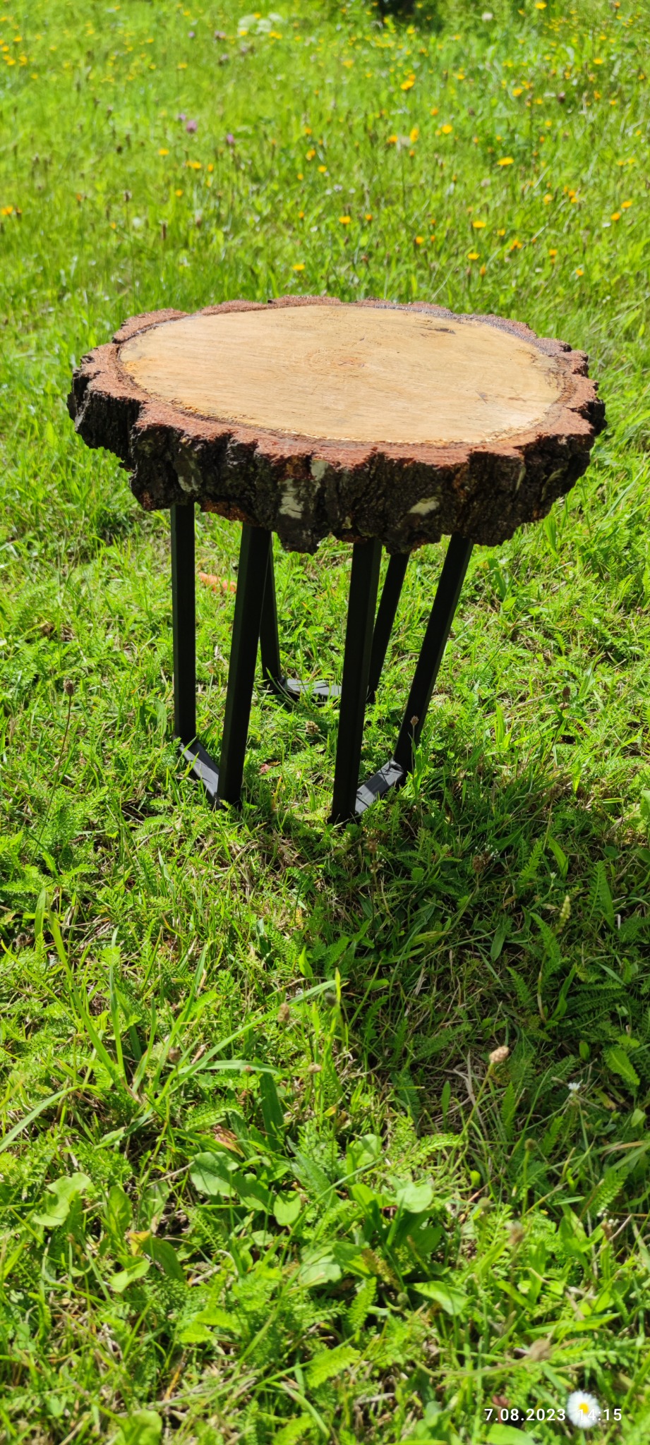 Stolik kawowy z blatem z plastra drewna o naturalnej korze i czarnych, metalowych nogach, ustawiony na trawie w słoneczny dzień.