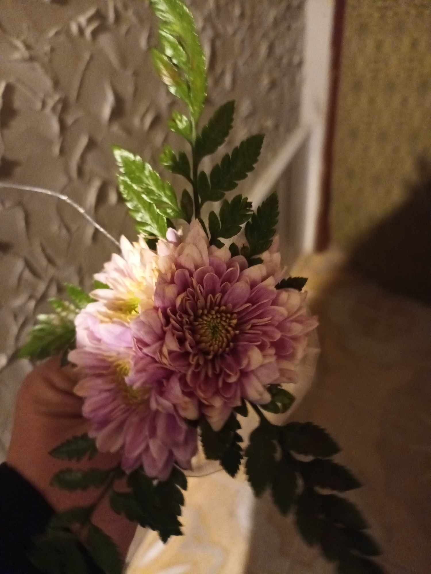 Bukiecik z jasnoróżowych dalii i zielonych liści paproci, trzymany w dłoni na tle teksturowanej ściany i okna.