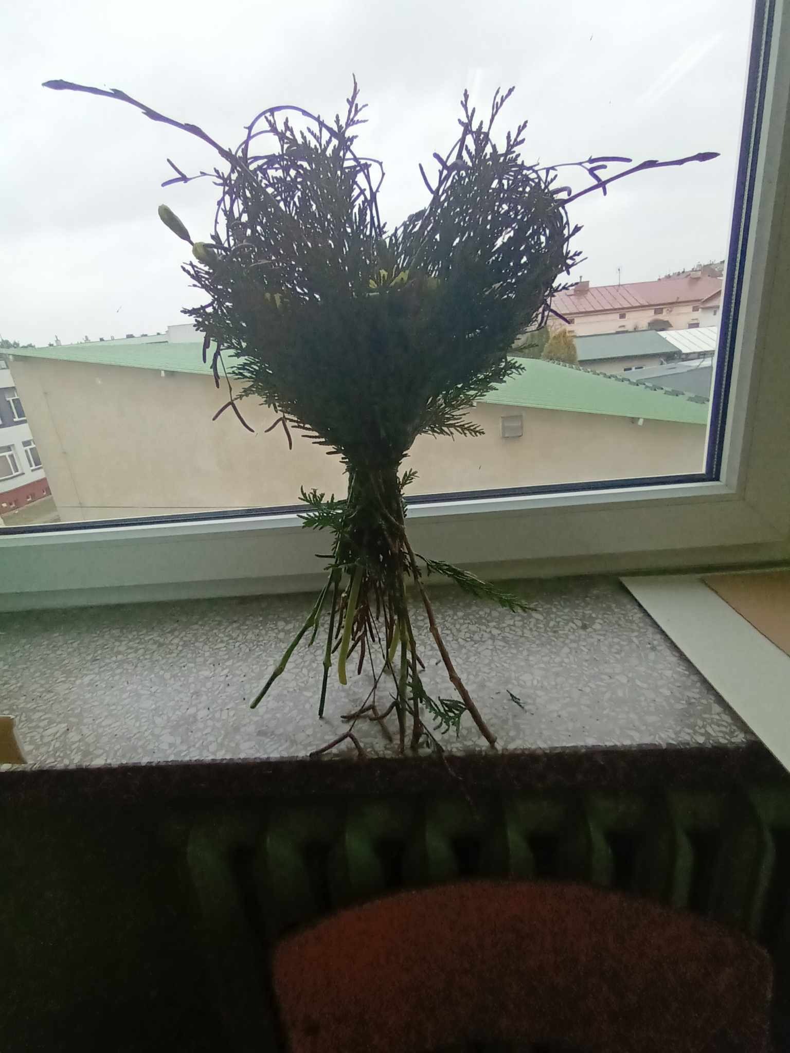 Mała kompozycja z gałązek i pędów, uformowana w kształt serca, umieszczona na parapecie okna z widokiem na budynki w tle.