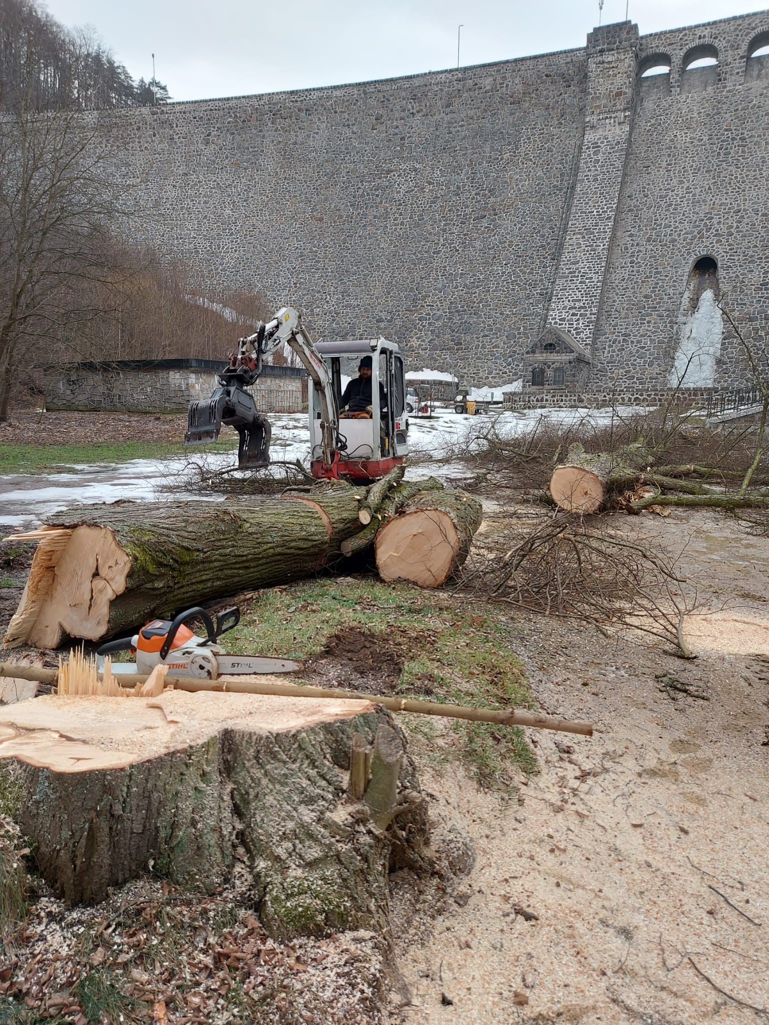 Mini koparka z operatorem podnosi kłodę obok ściętego pnia i leżącej piły spalinowej Stihl; w tle kamienna zapora.