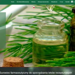 Tworzenie stron internetowych Gdańsk 1