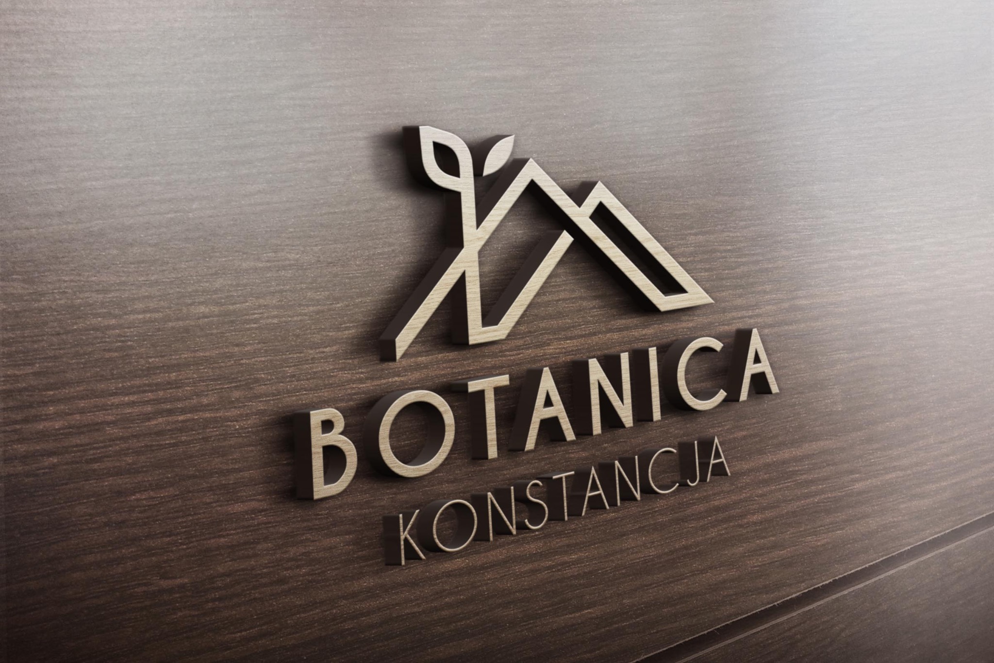 projektowanie logo i identyfikacja wizualna