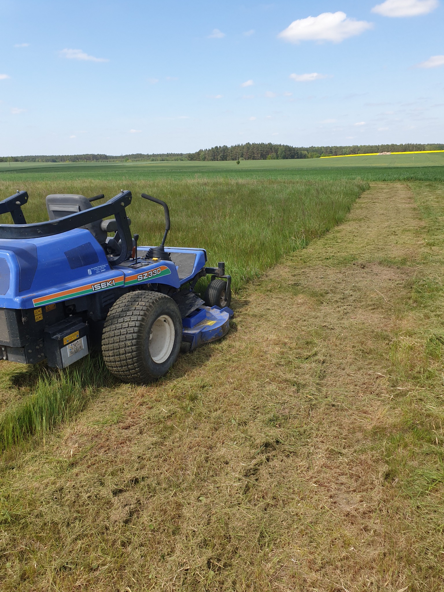 Niebieska kosiarka traktorowa Iseki SZ330 w trakcie pracy na polu, z widocznym pasem świeżo skoszonej trawy i wysoką trawą w tle, na horyzoncie las i niebo z chmurami.
