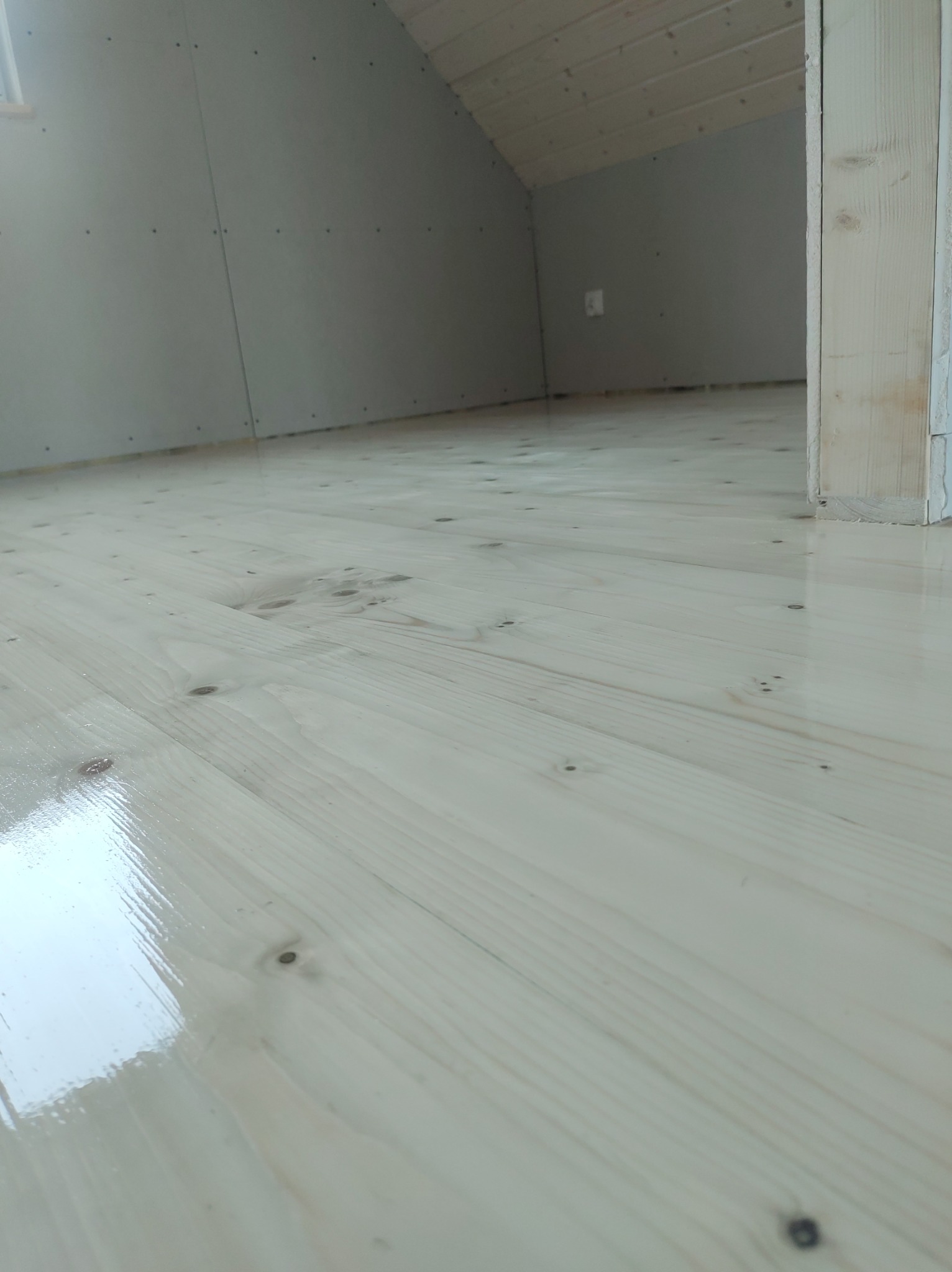 Jasne, lakierowane deski podłogowe w nowym poddaszu z płytami karton-gips na ścianach i drewnianą konstrukcją dachu. Widok z dołu, blisko podłogi.