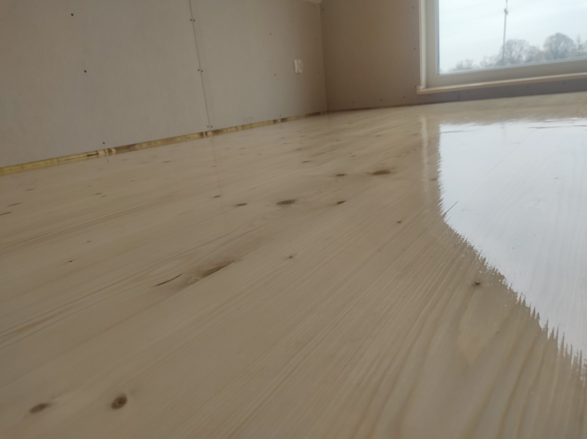Jasne, lakierowane panele podłogowe z widocznymi sękami, świeżo położone przy ścianie z płyt karton-gips i oknem w tle, ukazujące gładką, błyszczącą powierzchnię.
