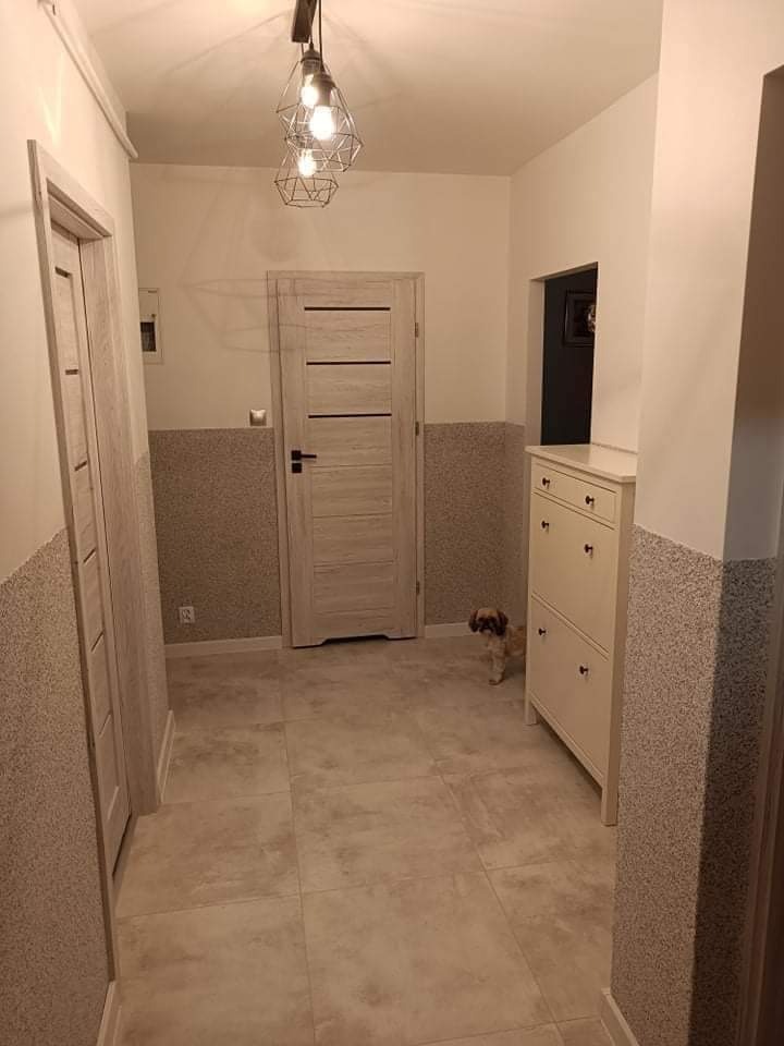 Jasny przedpokój z szarymi panelami ściennymi, beżowymi płytkami podłogowymi, drewnianymi drzwiami wewnętrznymi, białą szafką na buty i psem rasy shih tzu