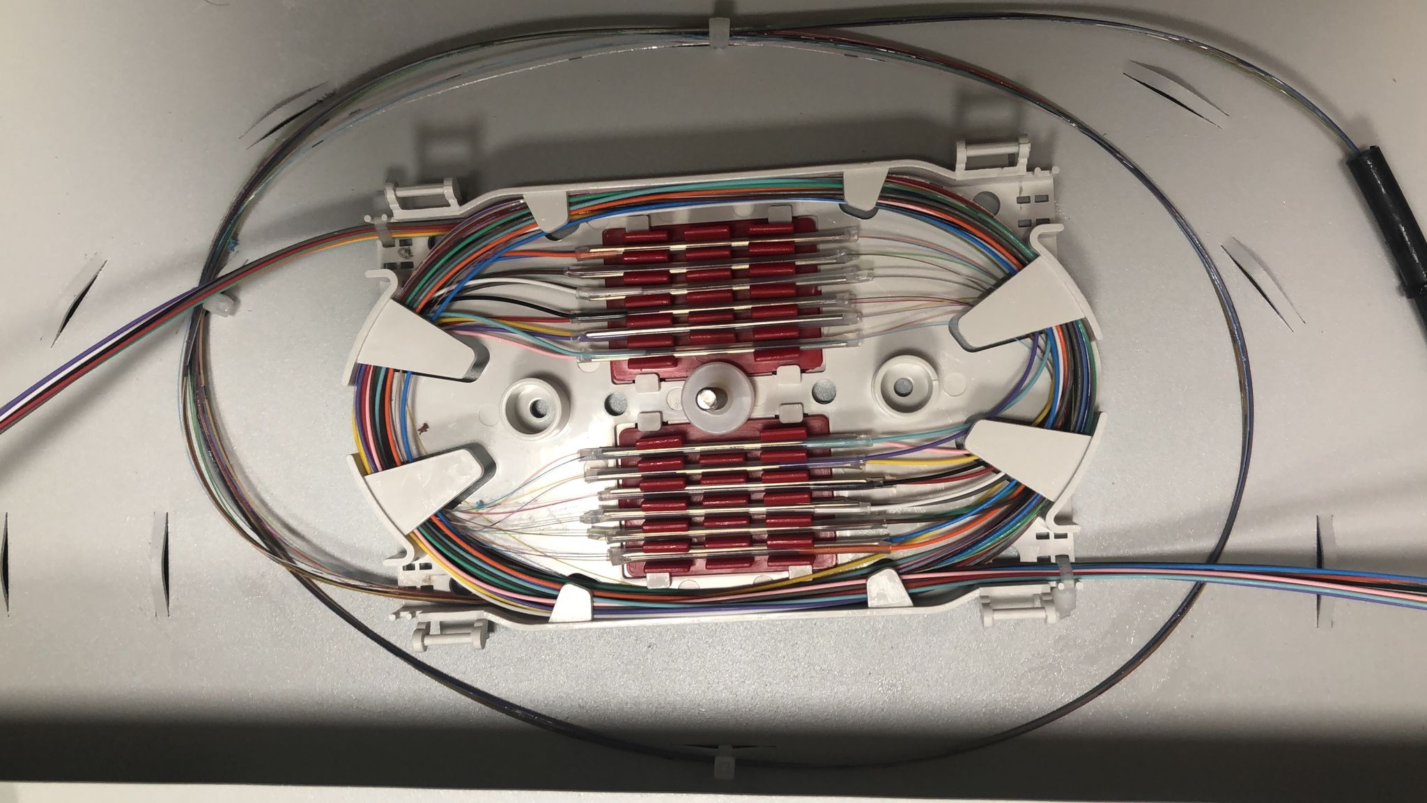 Rozdzielnica światłowodowa z precyzyjnie ułożonymi kolorowymi kablami, zabezpieczonymi czerwonymi złączkami, w szarej obudowie.