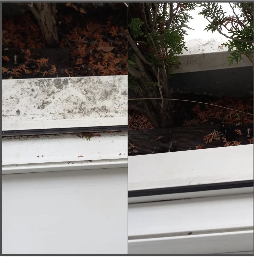 Okno PCV: widok 'przed i po' czyszczeniu. Po lewej brudne, z liśćmi i osadem, po prawej czyste, z widocznymi detalami zieleni w tle. Porównanie efektu mycia okien.