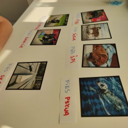 Logopeda Bielsko-Biała 2