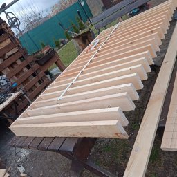 DD-db - Najlepsze Ścinanie Drzew Kalisz