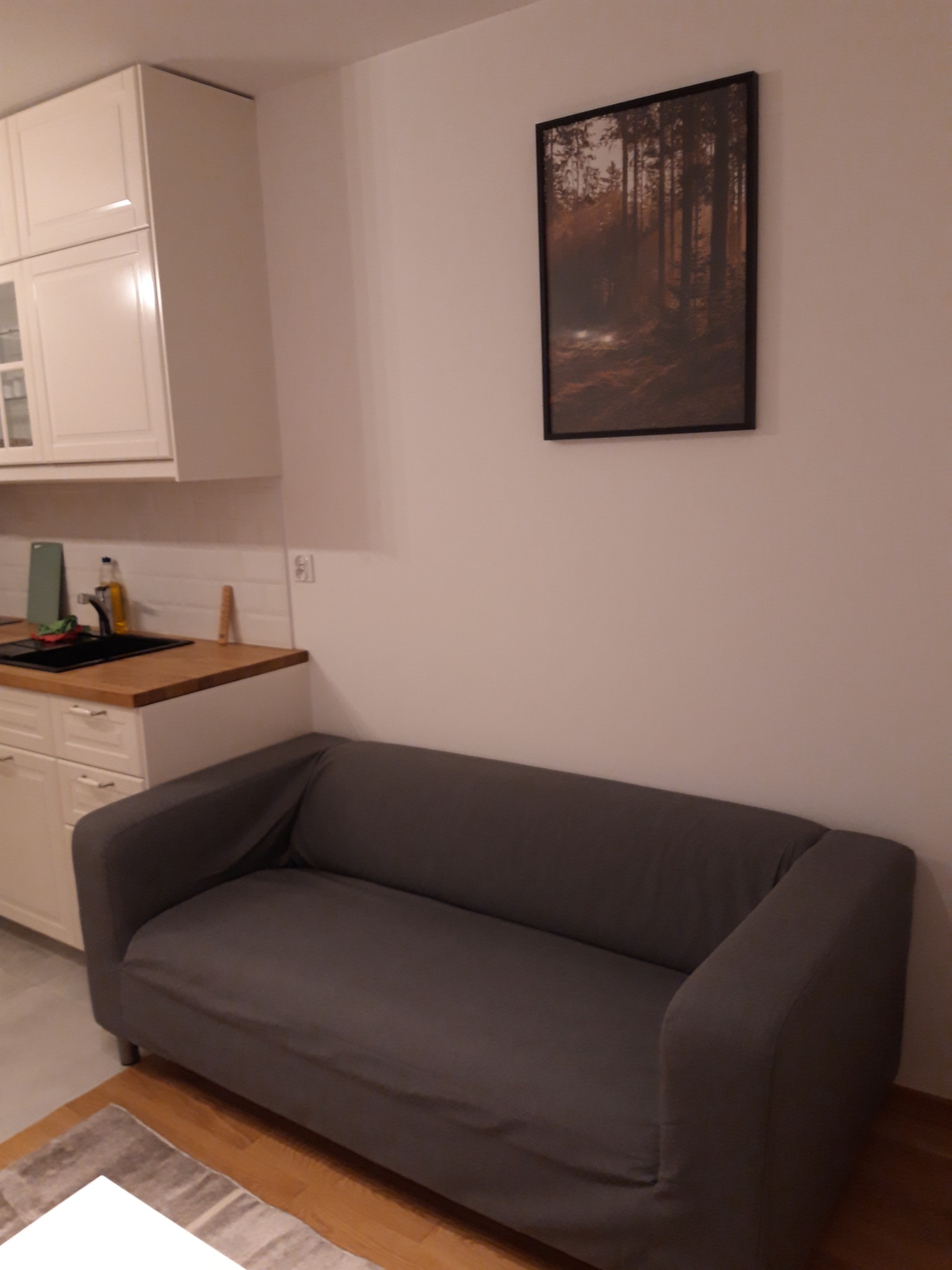 Szary narożnik w salonie z aneksem kuchennym, nad nim wisi obraz z motywem leśnym.