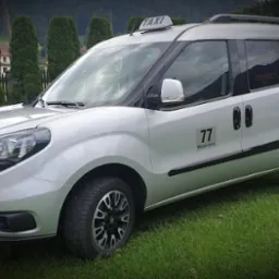 Srebrny van z napisem TAXI na dachu, numer 77 i nazwą 'Mszana Dolna' na boku, zaparkowany na trawie z widokiem na góry i drzewa w tle.