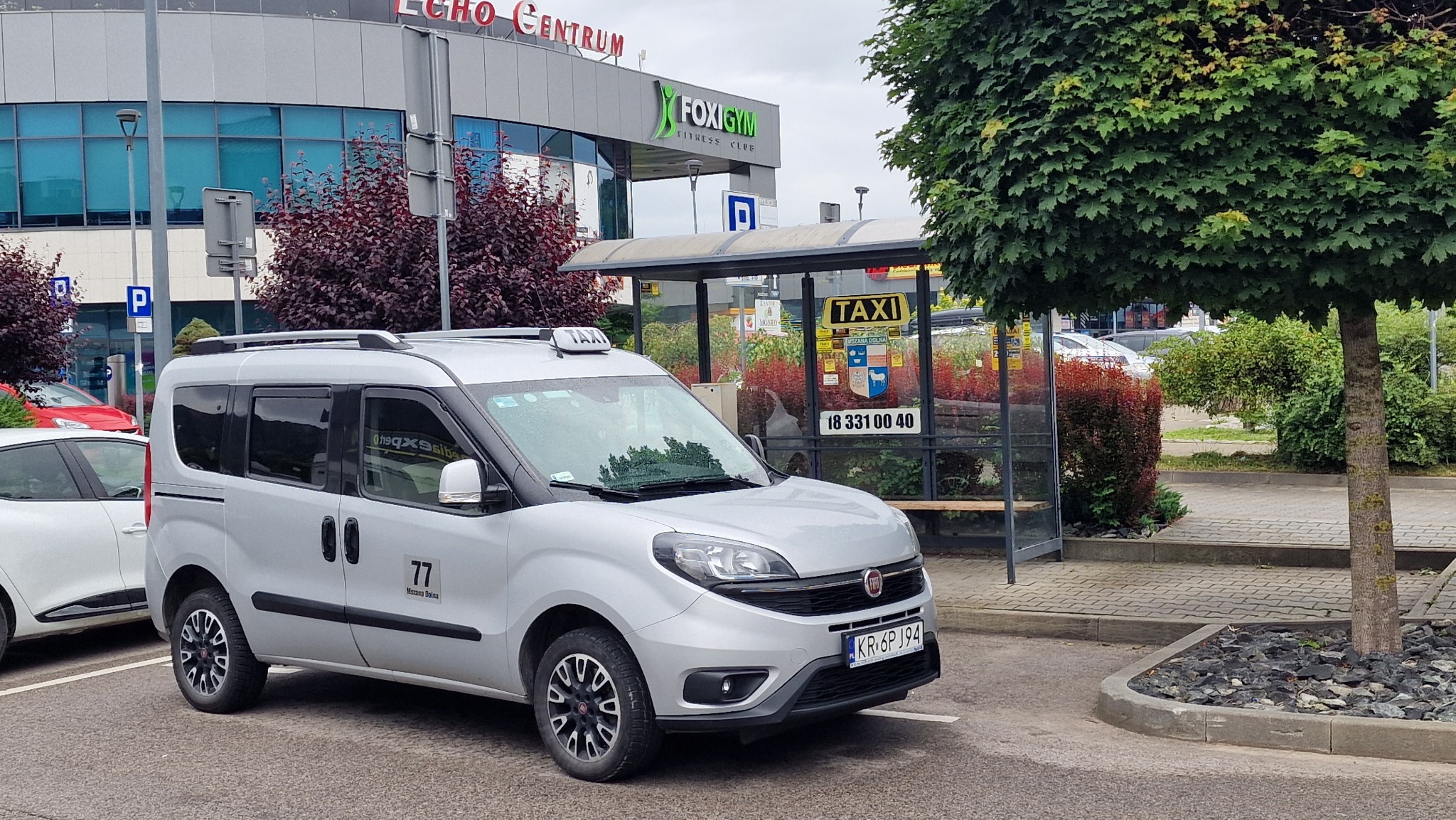 Srebrny bus taxi marki Fiat Doblo z numerem bocznym 77 zaparkowany przed budynkiem Echo Centrum z logo Foxigym, w tle przystanek autobusowy z szyldem Taxi Mszana Dolna.