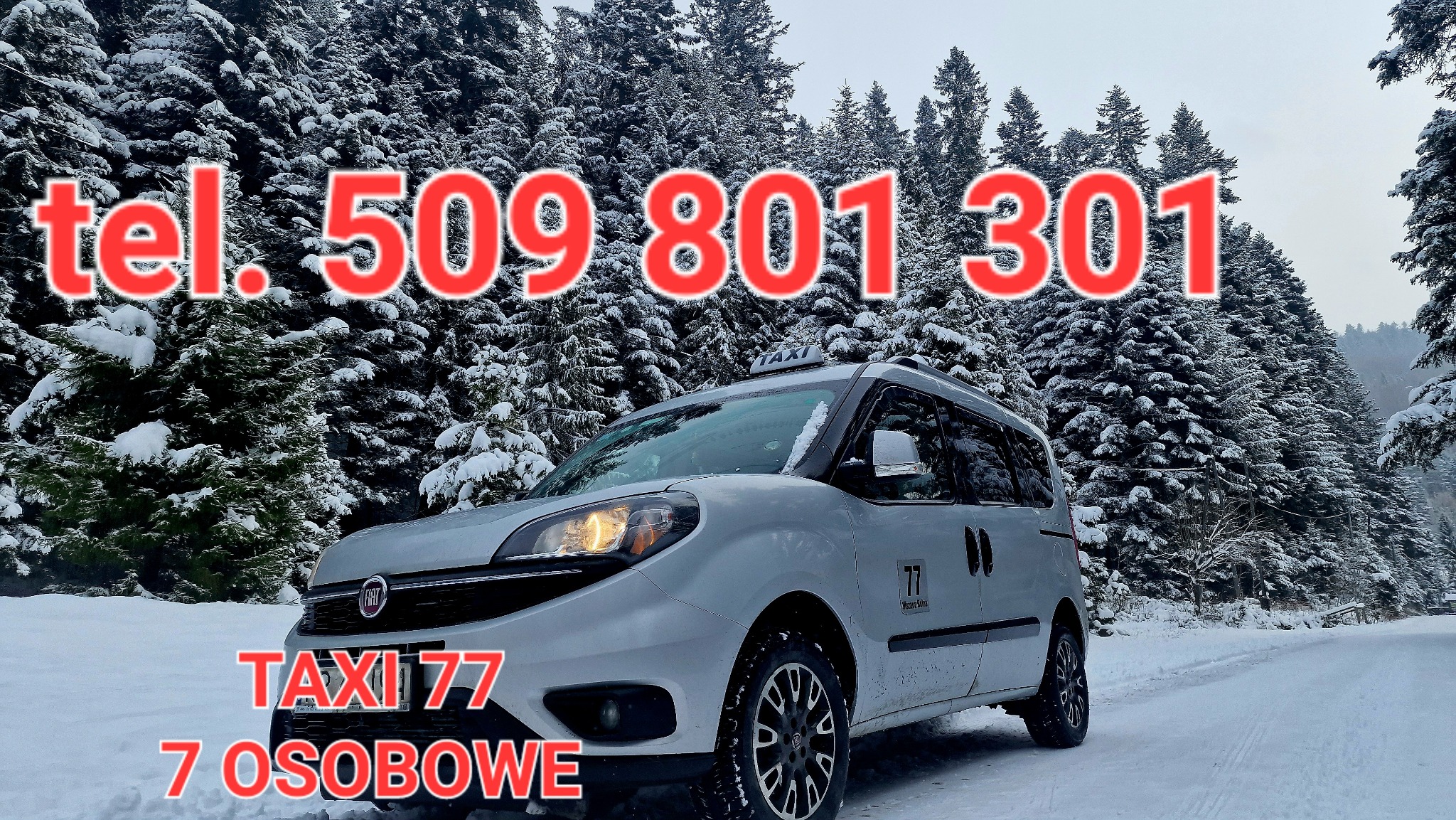 Srebrny, siedmioosobowy bus taxi z napisem 'TAXI 77' na tle ośnieżonego lasu iglastego i drogi. Na szybie kontaktowy numer telefonu.