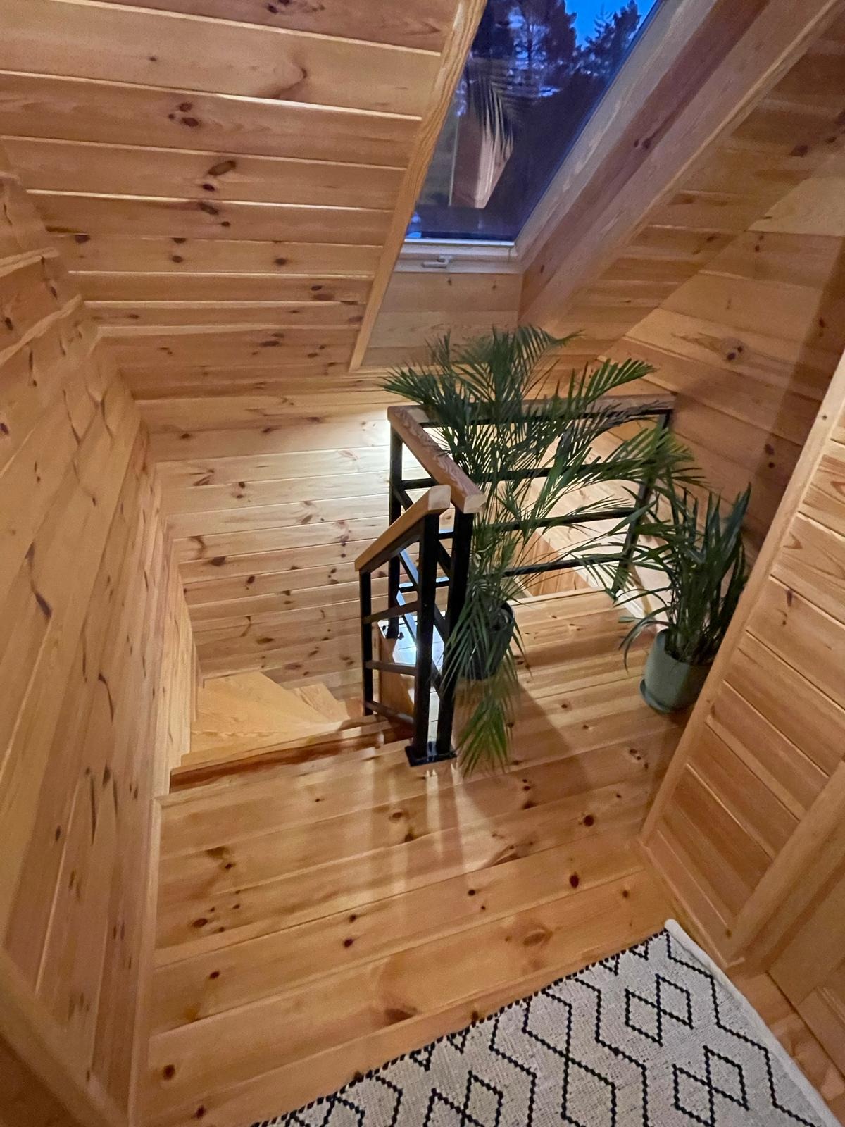 Wnętrze domu z drewnianymi ścianami i schodami, widok z góry na dół, z roślinami doniczkowymi i dywanem z geometrycznym wzorem u dołu schodów, okno dachowe na górze.