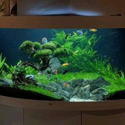 Akwarystyka i terrarystyka Warszawa 1