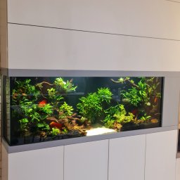 Akwarystyka i terrarystyka Warszawa 4