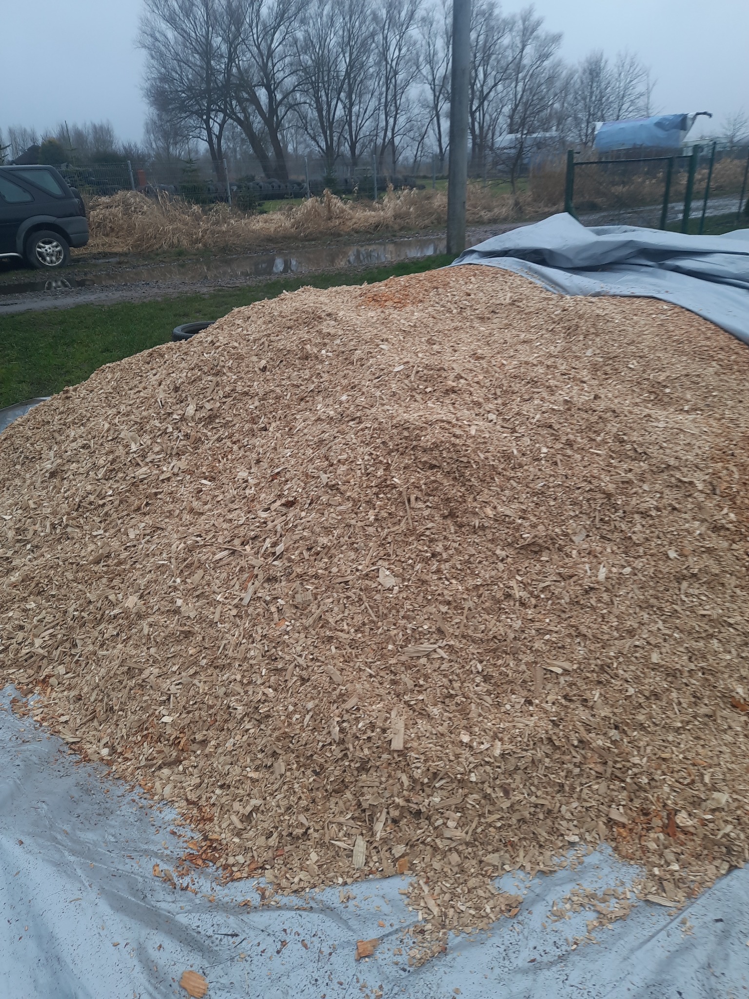 Duża pryzma jasnych zrębków drzewnych, częściowo przykryta szarą plandeką, na tle pochmurnego krajobrazu z zaroślami i drzewami bez liści.