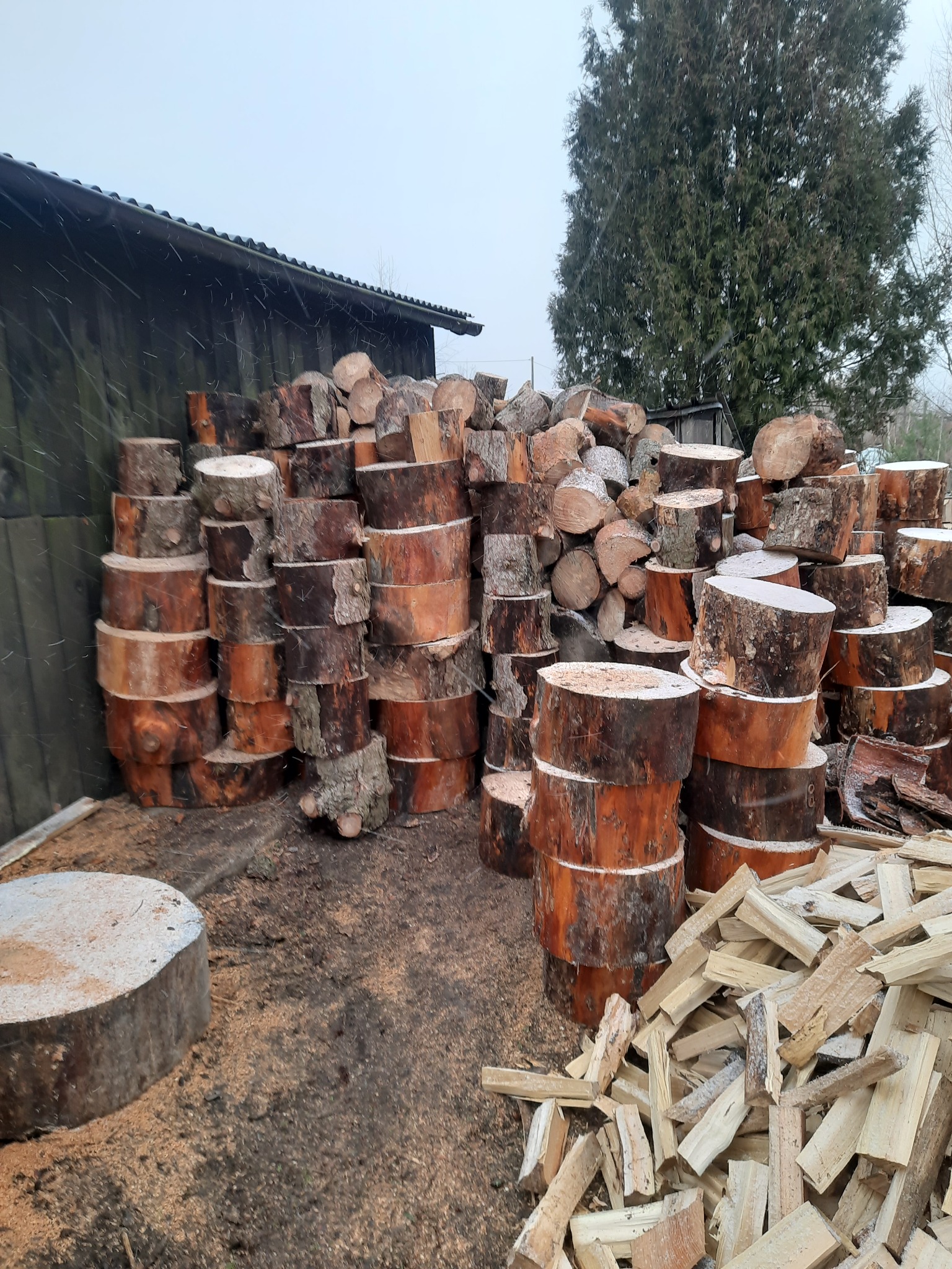 Stosy pociętych klocków drewna ułożone przed szopą w zimowy dzień, widoczne drobne opady śniegu.