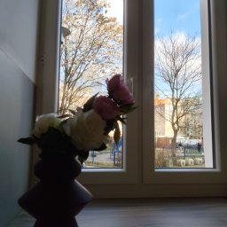 Cleaning Today Olga Belska - Widok z okna na plac zabaw i drzewa, z wazonem z kwiatami w pierwszym planie. Okno umyte, brak smug. Lekkie odbicie światła na szybie.