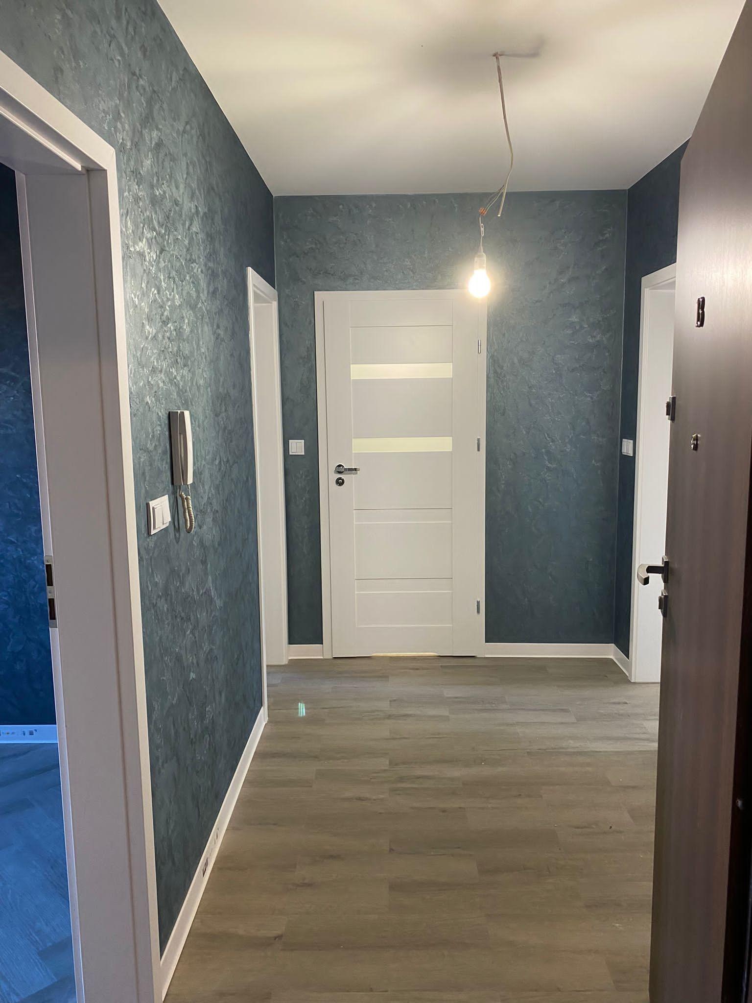 Korytarz z dekoracyjną, szarozieloną ścianą o fakturze przypominającej stiuk wenecki, białe drzwi wewnętrzne z przeszkleniami i brązowe drzwi wejściowe, drewnopodobna podłoga, widoczna instalacja...