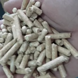 Garść jasnych, cylindrycznych brykietów z biomasy drzewnej w dłoni, widoczne drobne pęknięcia na powierzchni niektórych z nich.