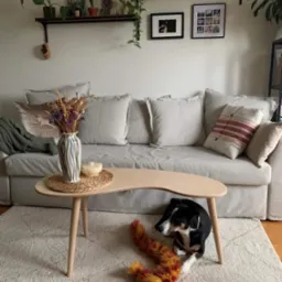 Jasny salon z sofą, drewnianymi półkami z roślinami, owalnym stolikiem kawowym z bukietem suszonych kwiatów i psem leżącym pod nim z zabawką.