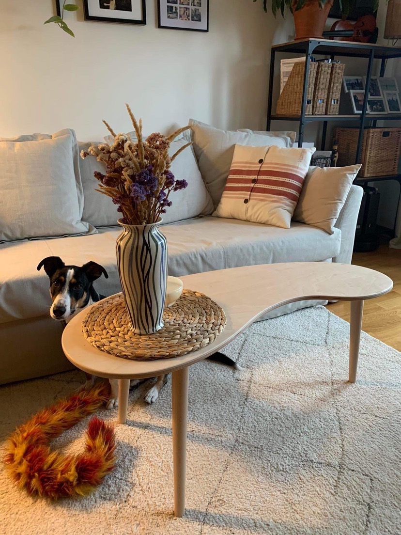 Jasny salon z asymetrycznym stolikiem kawowym z drewna, na którym stoi wazon z suszonymi kwiatami i podkładka z wikliny; czarno-biały pies spogląda spod stolika, a na podłodze leży pomarańczowy...