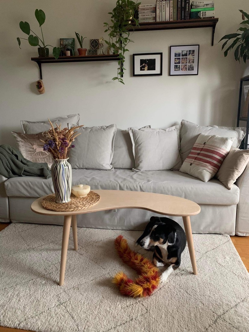 Jasny salon z sofą, drewnianymi półkami z roślinami, owalnym stolikiem kawowym z bukietem suszonych kwiatów i psem leżącym pod nim z zabawką.
