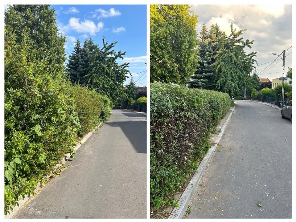 Zdjęcie porównujące stan żywopłotu przed i po przycięciu, widok z poziomu ulicy, po lewej stronie żywopłot przed, zarośnięty i nieregularny, po prawej przycięty, równy i zadbany, na ulicy leżą...