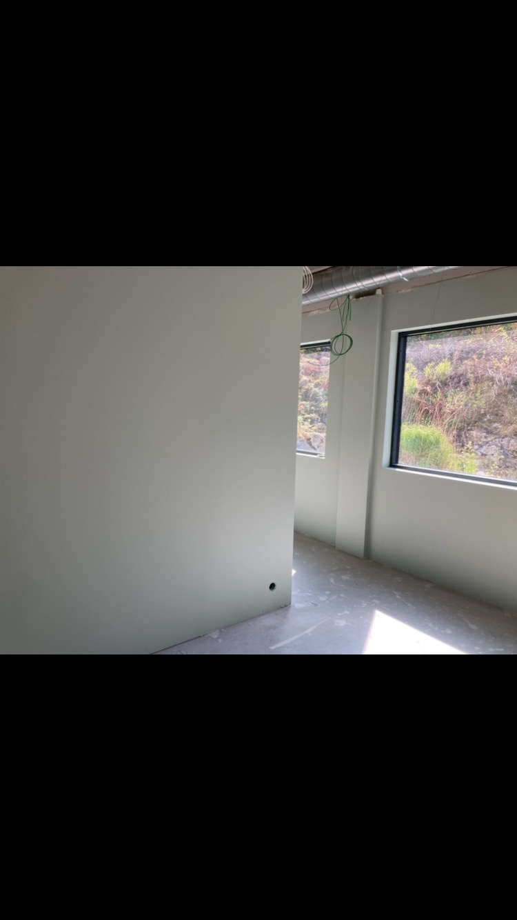 Wnętrze w trakcie wykańczania: pomalowane na jasno ściany w odcieniach zieleni, surowy beton na podłodze, widok na zieleń za oknem.