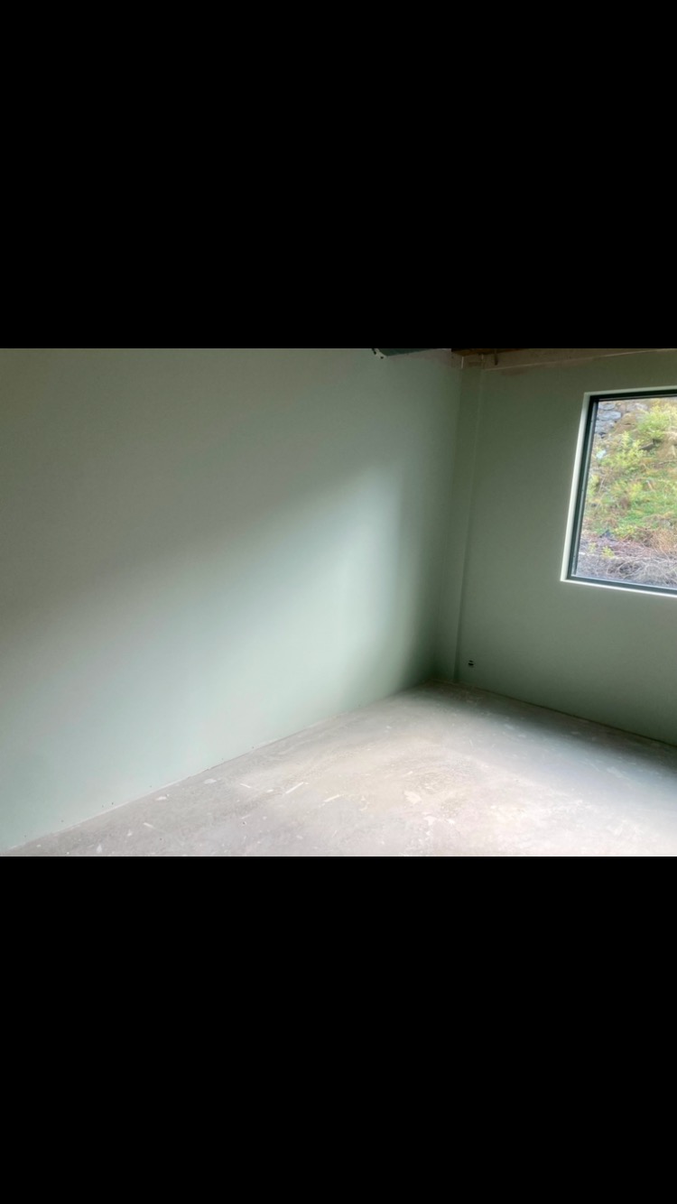 Wnętrze pokoju w trakcie wykańczania: ściany pomalowane na jasnozielony kolor, surowy beton na podłodze, widok za oknem na zieleń.