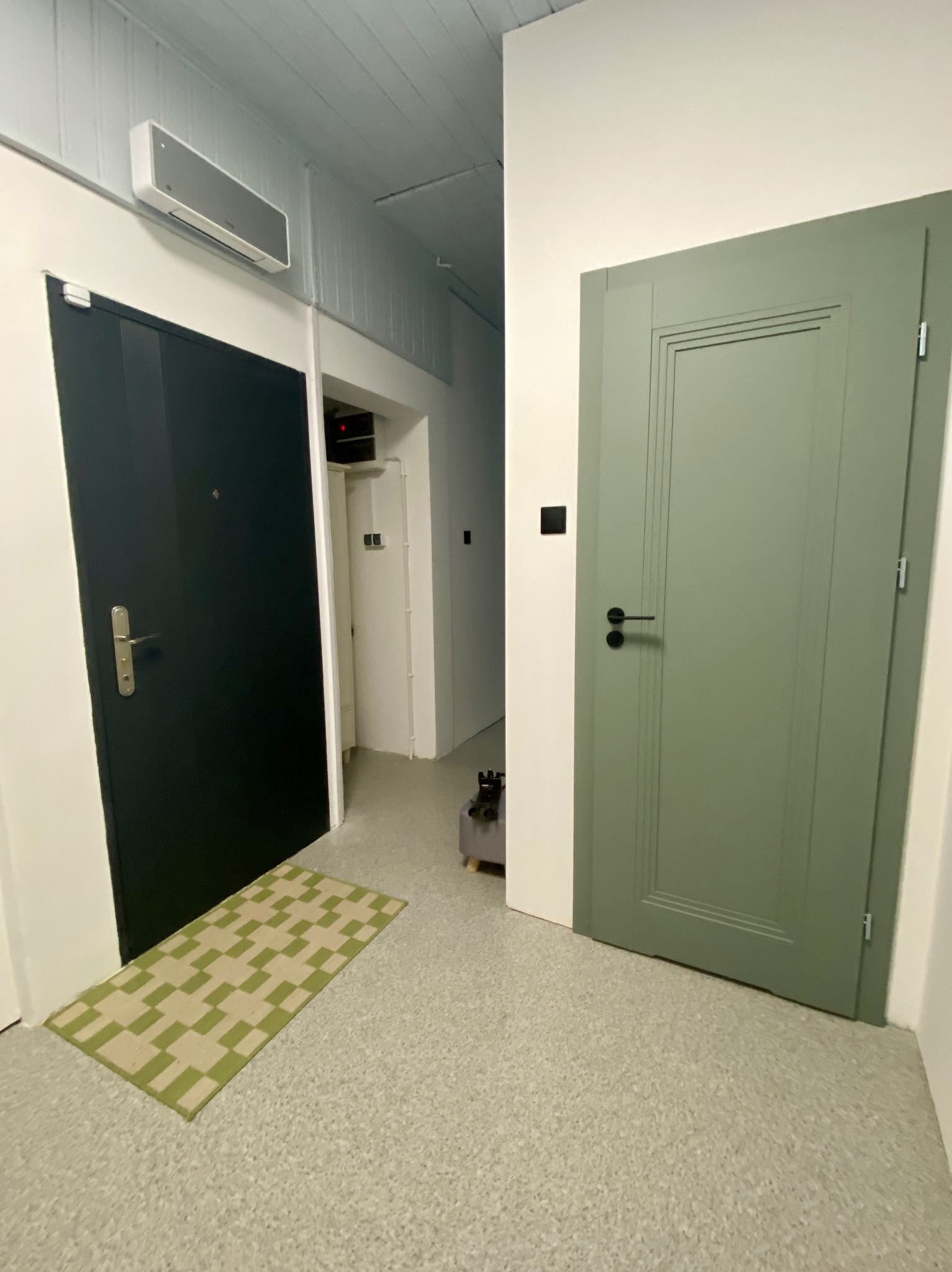 Nowoczesne wnętrze: czarne drzwi wejściowe z klimatyzatorem i zielone drzwi wewnętrzne. W tle widoczny fragment korytarza i dywanik w geometryczny wzór.