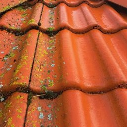 F.U. Mirax - Malowanie Pokryć Dachowych Dziwnówek