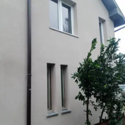 Jasna elewacja domu z widocznym systemem rynnowym i ozdobnym krzewem, okna z białymi ramami.
