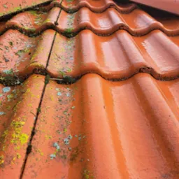 Czerwona dachówka ceramiczna częściowo pokryta mchem i porostami, widoczna po lewej stronie, kontrastuje z czystą, mokrą powierzchnią po prawej stronie, sugerującą niedawne czyszczenie.