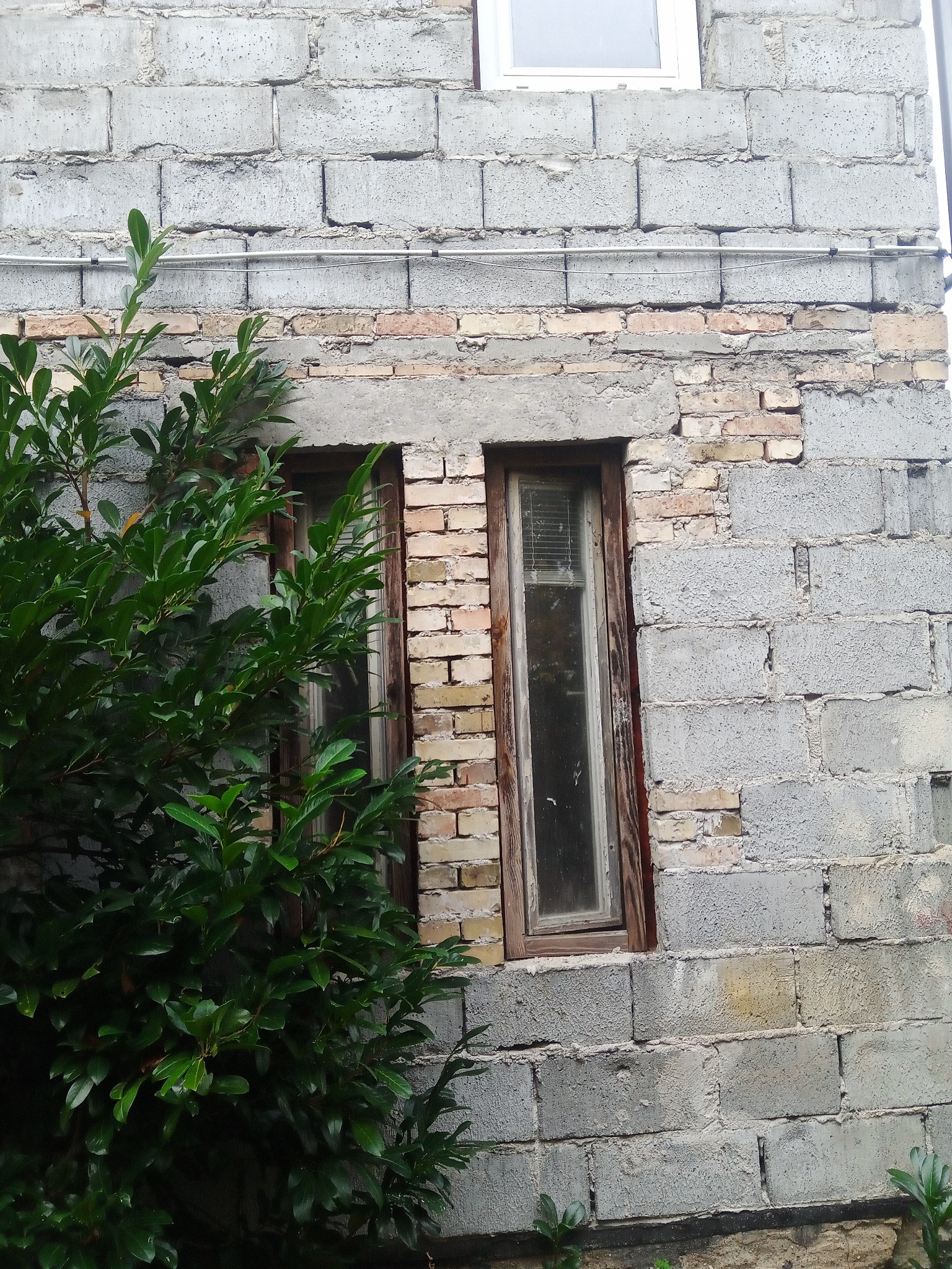 Surowa ściana budynku z szarych betonowych bloków, z widocznymi starymi oknami z drewnianymi ramami i fragmentami cegieł, częściowo zakryta przez bujną zieloną roślinność.