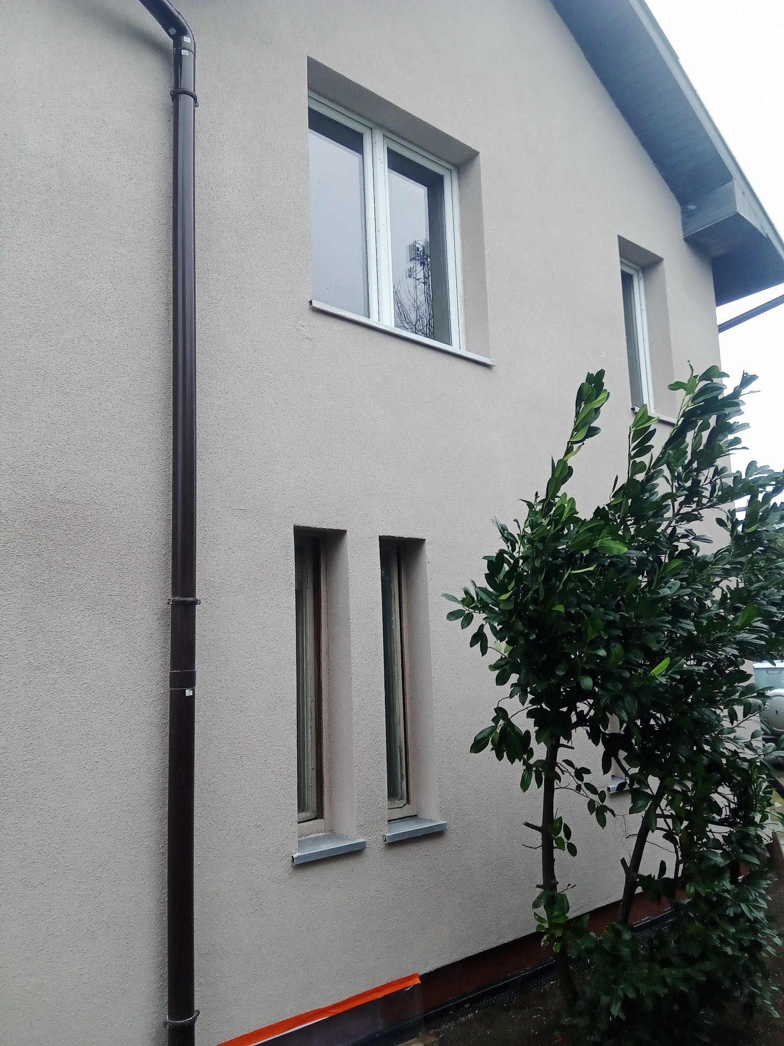 Jasna elewacja domu z widocznym systemem rynnowym i ozdobnym krzewem, okna z białymi ramami.